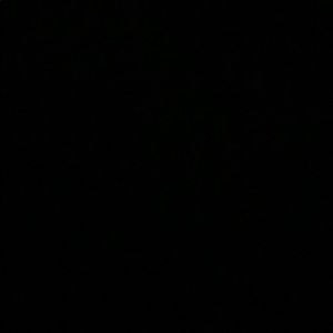 Meet your Posher, Evanguline